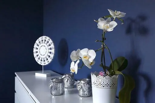 Matejki Apartman Szczecin